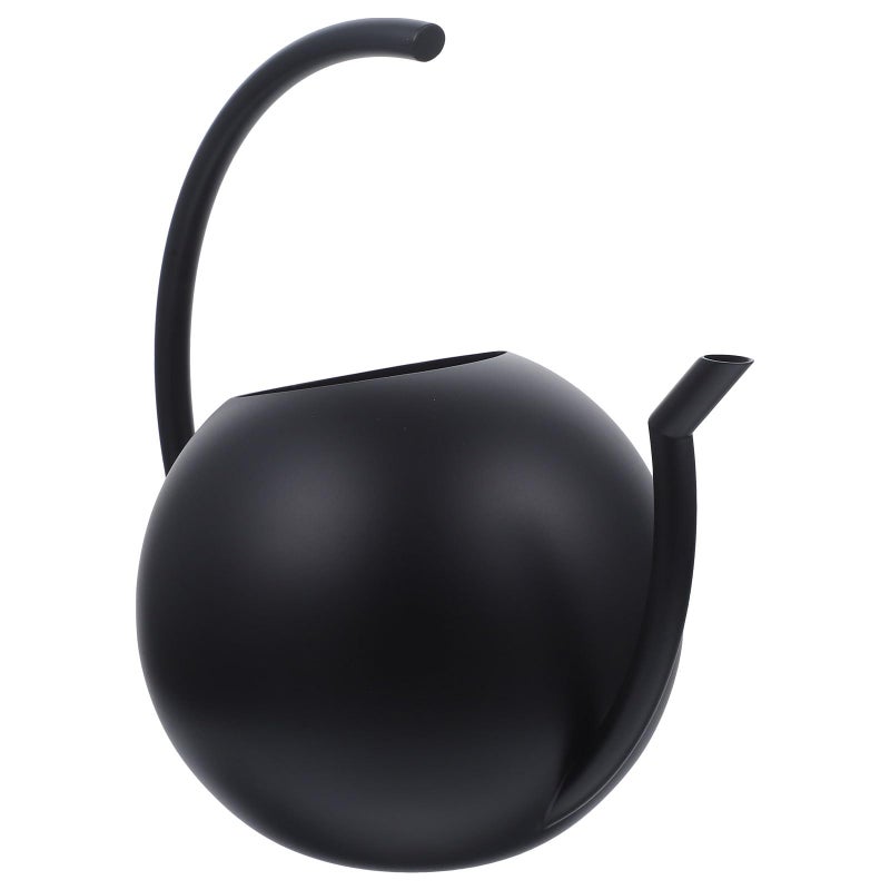 Stainless Steel Watering Can 1 Liter Black Long Spout for Succulents Indoor Outdoor Plants - Image 2