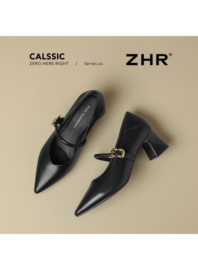 Zhr Zese Mary Jane Women's Pointed Toe Summer Single Shoes Shallow Mouth Chunky Heel One-strap Shoes Bl379f Black 37 - Image 5