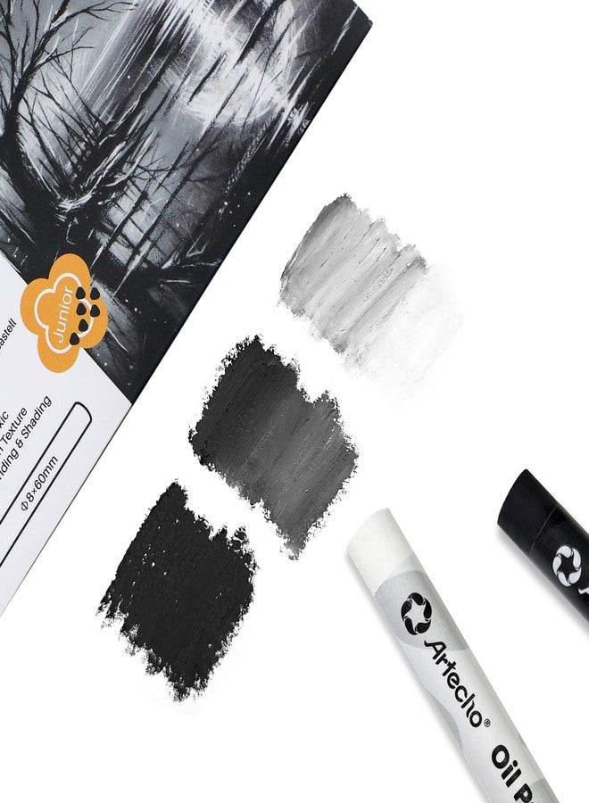 Artecho Oil Pastels Set of 12 PCS, 6 White and 6 Black (8 x 60 mm), Soft Oil Pastels for Art Painting, Drawing, Blending, Art Supplies for Artists, Beginners, Students, Teachers - Image 5