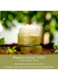 I'M FROM I'm from Mugwort Cream, For all skin type, 1.69 fl oz | Moisturizer with 73.55% Mugwort Extract, Soothing, Calming, Redness Relief with Sebum control  - Image 2