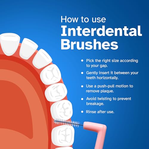 STIM Interdental Manual Adults Angular Brush Iso 3 For Wide Gaps,Smooth Cleaning Between Teeth,Dentist Recommended,Made In India (Blue,6 Brushes,Pack Of 2) - Image 5