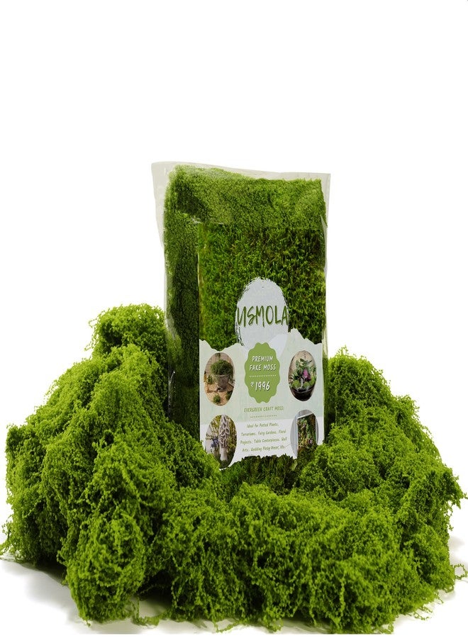 USMOLA 3.5OZ Fake Moss for Plants Indoor - Artificial Moss for Table Centerpieces, Fairy Gardens, Terrariums - Realistic Faux Grass for Wedding Christmas Party Decor (Light Green) - Image 1