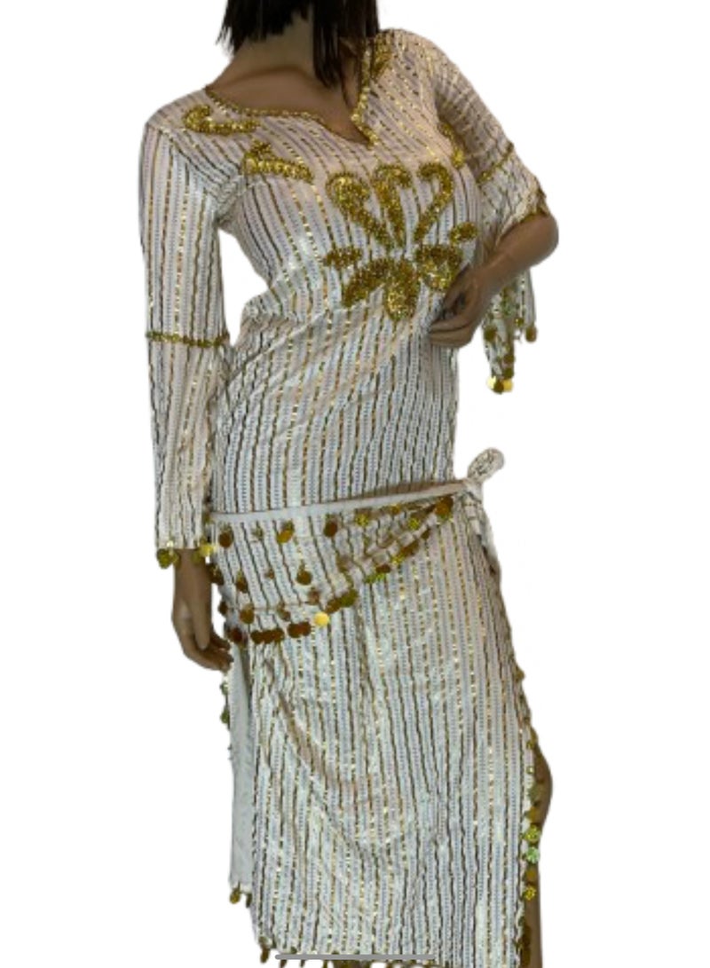 Loquat Dance Dress Costume Egyptian Dance Suit - Image 1
