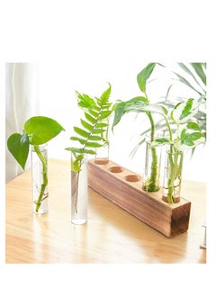 Y&D Desktop Glass Plant Propagation Station 5 Test Tube Terrarium in Wooden Stand for Hydroponic Plants Cutting Office Home Decoration  - Image 2