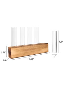 Y&D Desktop Glass Plant Propagation Station 5 Test Tube Terrarium in Wooden Stand for Hydroponic Plants Cutting Office Home Decoration  - Image 3