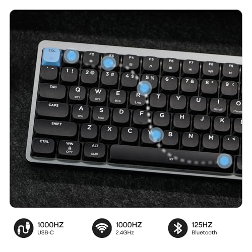 EPOMAKER Luma84 Low Profile Aluminum Mechanical Keyboard, QMK/VIA Programmable, Tri-Mode Wireless, Win/MAC/Linux Compatible, RGB Backlight (Black&Blue, Gateron Low-Profile Brown Switch) - Image 4