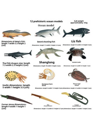 Simulation Marine Life Model Deep Sea Fish Group Toy Suit Megalodon Black-tip Shark Squid Whale Shark Swordfish-Colour:Kz Prehistoric Mini Ocean (12 Sets) - pzsku/Z5E8926A7548EB1B4AA9DZ/45/1745920200/228d33b2-76f9-4b6d-a46c-4bd656c3b9b0