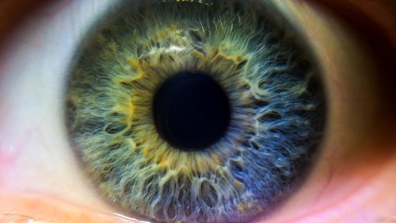 Digital Nc Nikon D40x 10x High Definition 2 Element Close-Up (Macro) Lens (52mm) - Image 2