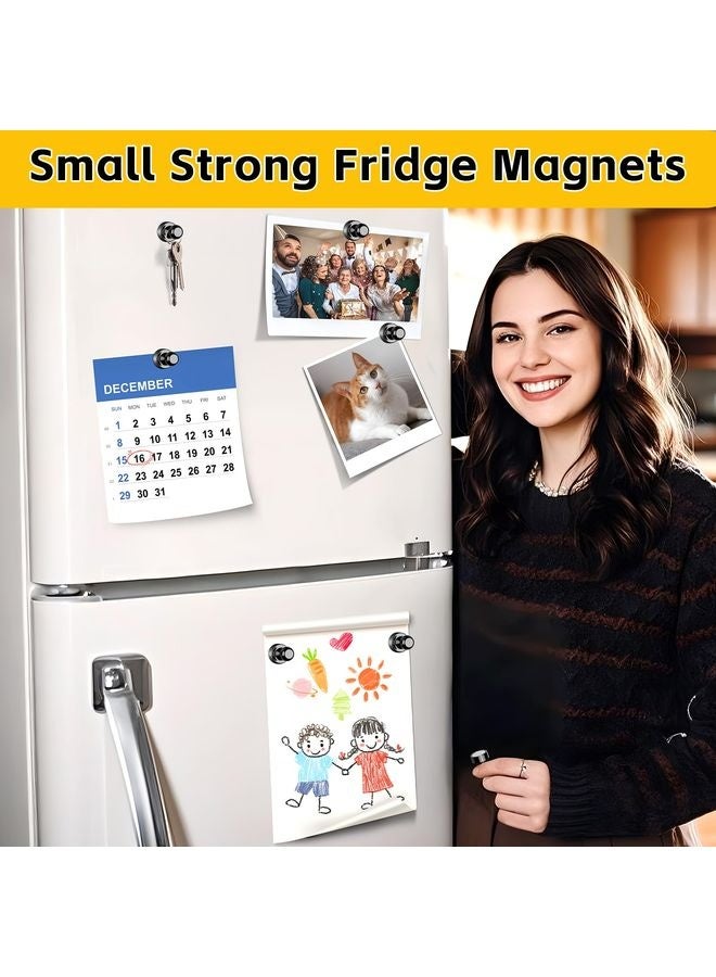 هومستر مغناطيسات الثلاجة ، 16pcs مغناطيسات قوية ثلاجة مقاطع مغناطيسية صغيرة لللوحة البيضاء ثلاجة دبابيس دفع مغناطيسية صغيرة مكتب ثقيل المطبخ كابينة رحلة لطيف الفصول الدراسية منظمة الأدوات - Image 2