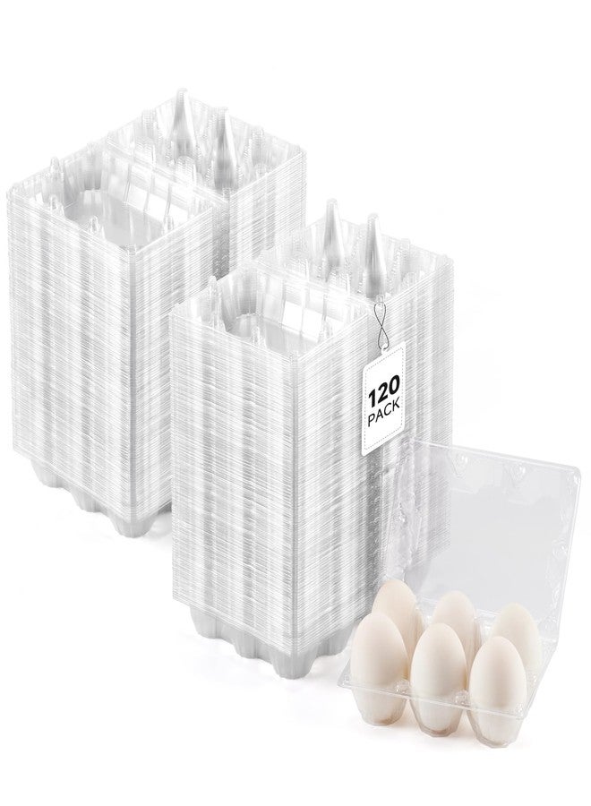 GRRONZEE 120Pack Jumbo Egg Cartons Duck Egg Cartons Extra Large Egg Containers XL Egg Tray Holders for Home Ranch Chicken Farm, Commercial Business Market Display, 2x3 Grids - Image 1