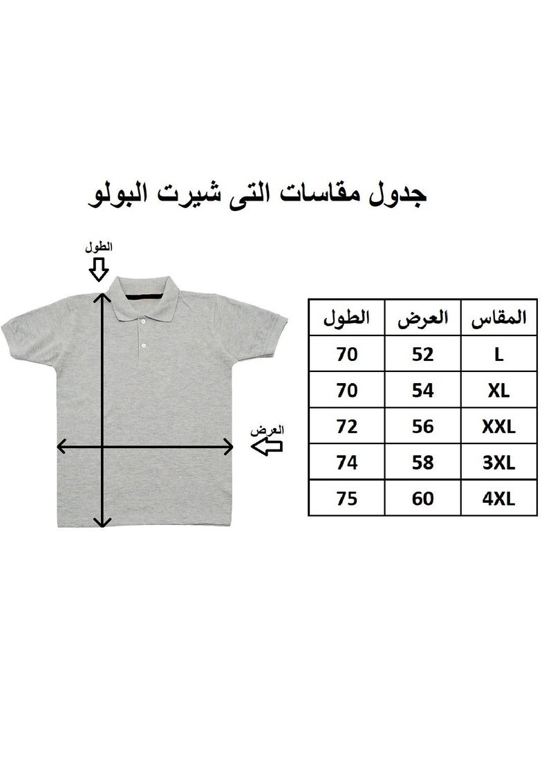 Silver - Silver Black Polo T-Shirt For Men - Image 1