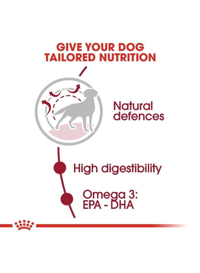 رويال كانين سايز هيلث نيوتريشن متوسط ​​للبالغين 10 كجم - Image 2