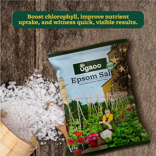 Ugaoo Epsom Salt for Plants 1 Kg | Magnesium Sulphate Fertilizer for Indoor & Outdoor Plants | Improves Soil Nutrient Absorption, Growth Booster for Home Garden, Potting Soil Mix & Gardening Soil - Image 3