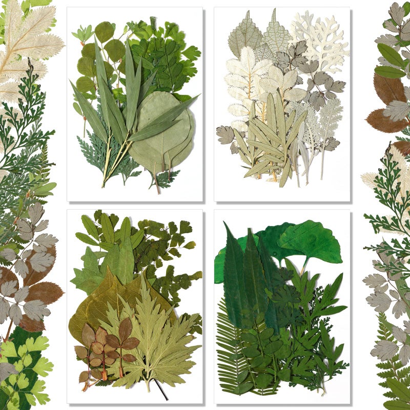 Timtin Timtin 84 Pieces Dried Pressed Leaves Flowers for Resin Mini Dried Flowers for Crafts Greenery Assorted for Art DIY Handmade Bookmarks 4 BagsClassic Style 