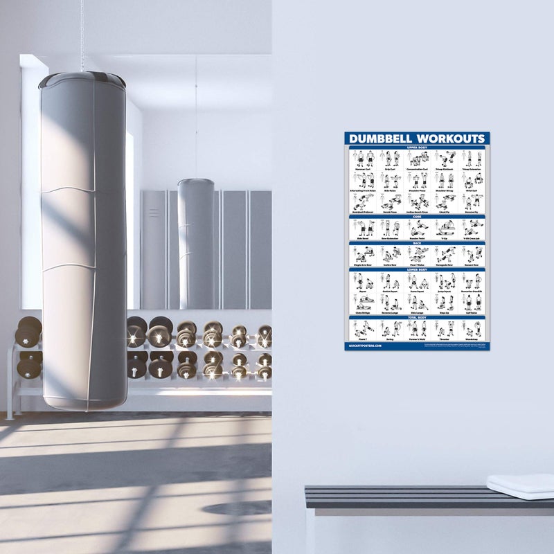 Palace Learning 2 Pack Dumbbell Workout Exercise Poster - Volume 1 & 2 - LAMINATED (18" x 24") - Image 5