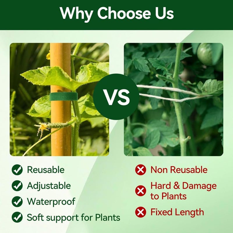 Proxima Direct 3 PCS Plant Tie Up, 5M Reusable Nylon Plants Rope Garden Tape Strap Self Adhesive for Home Tree Adjustable Plant Supports Effective Growing Green Ties Sorting Accessories - Image 3