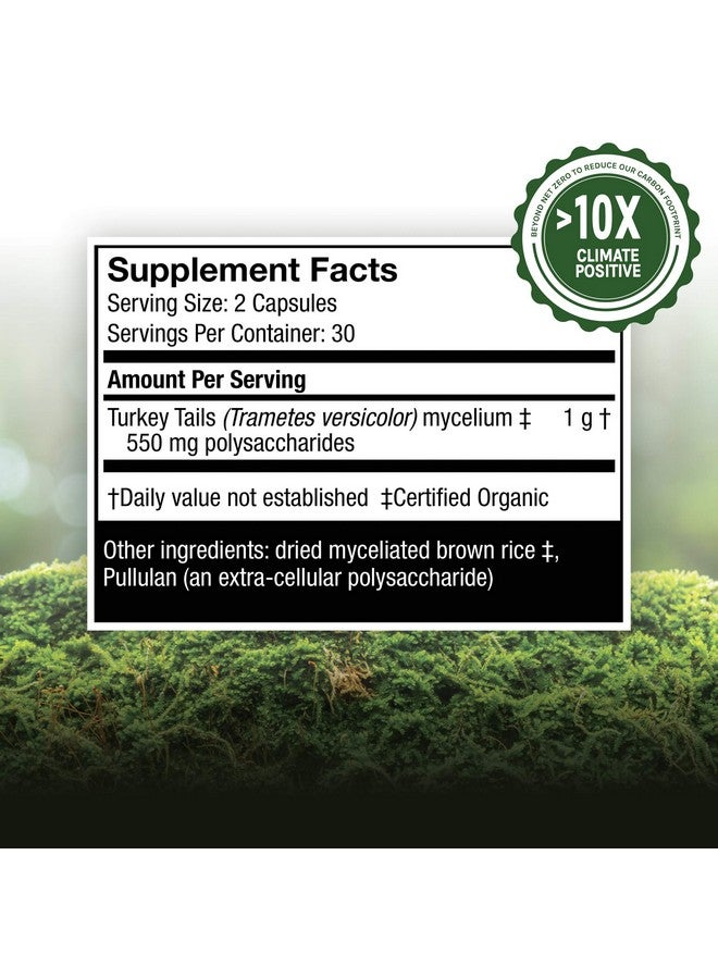 Host Defense كبسولات ذيل الديك الرومي لدعم الجهاز المناعي والهضمي مكمل فطر غير منكه 60 - Image 4