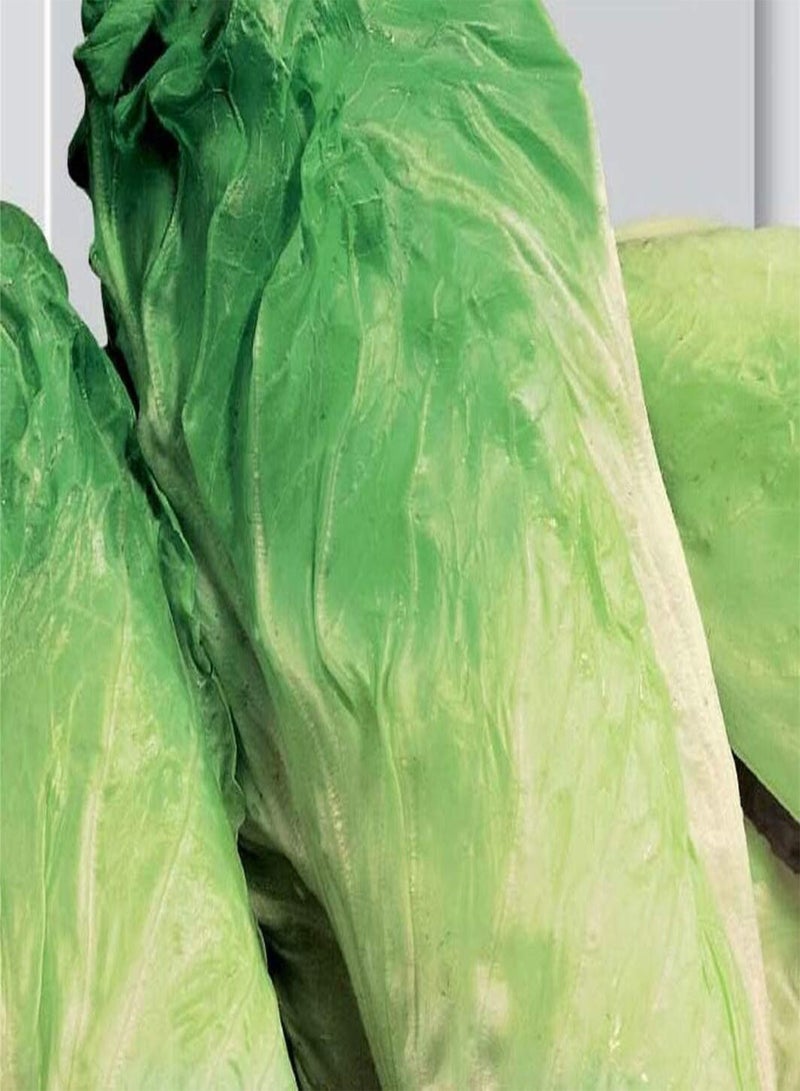 GGOOT Seeds of Chicory Pan Di Zucchero