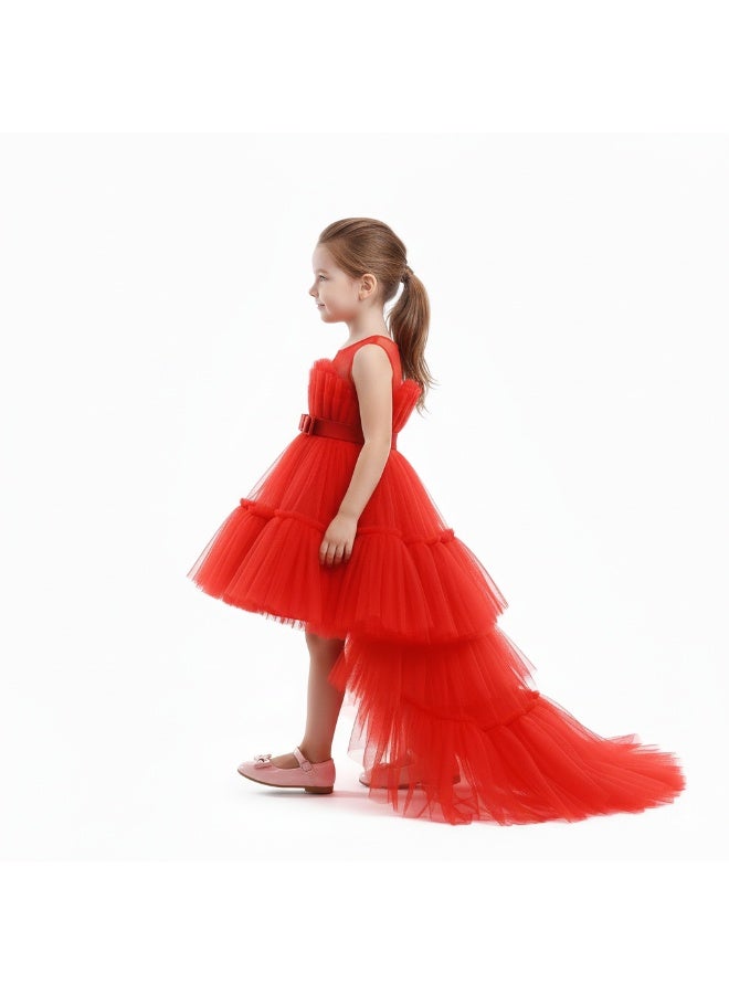 D'Daniela Tulle Tiered Dress - Image 2