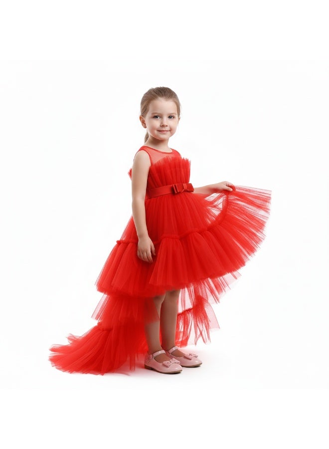 D'Daniela Tulle Tiered Dress - Image 3