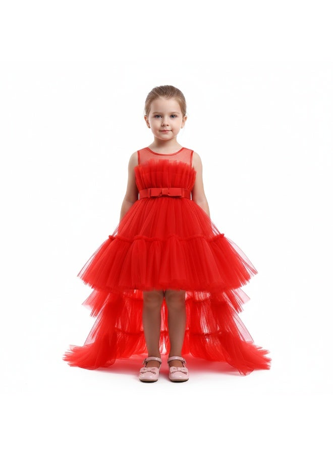 D'Daniela Tulle Tiered Dress - Image 1