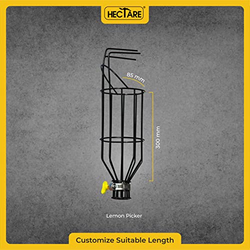 Hectare Multi-Purpose Small Fruit Picker & Plucker Basket | Ideal for Lemon, Chiku, Sapota and Amla Harvesting | Lightweight Manual Gardening Tool | Durable Fruit Catcher for Easy Picking - Image 2