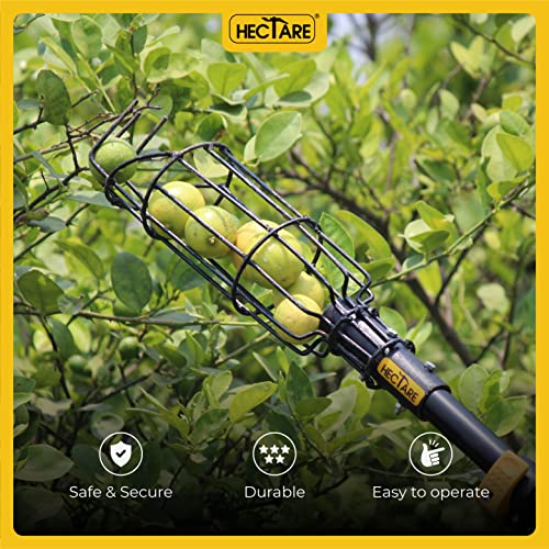 Hectare Multi-Purpose Small Fruit Picker & Plucker Basket | Ideal for Lemon, Chiku, Sapota and Amla Harvesting | Lightweight Manual Gardening Tool | Durable Fruit Catcher for Easy Picking - Image 4