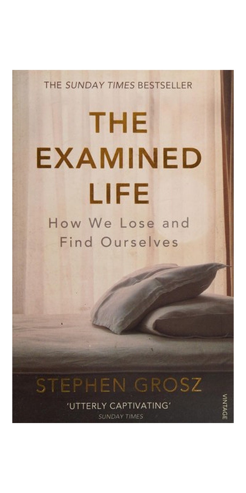 The Examined Life: How We Lose and Find Ourselves - Image 2