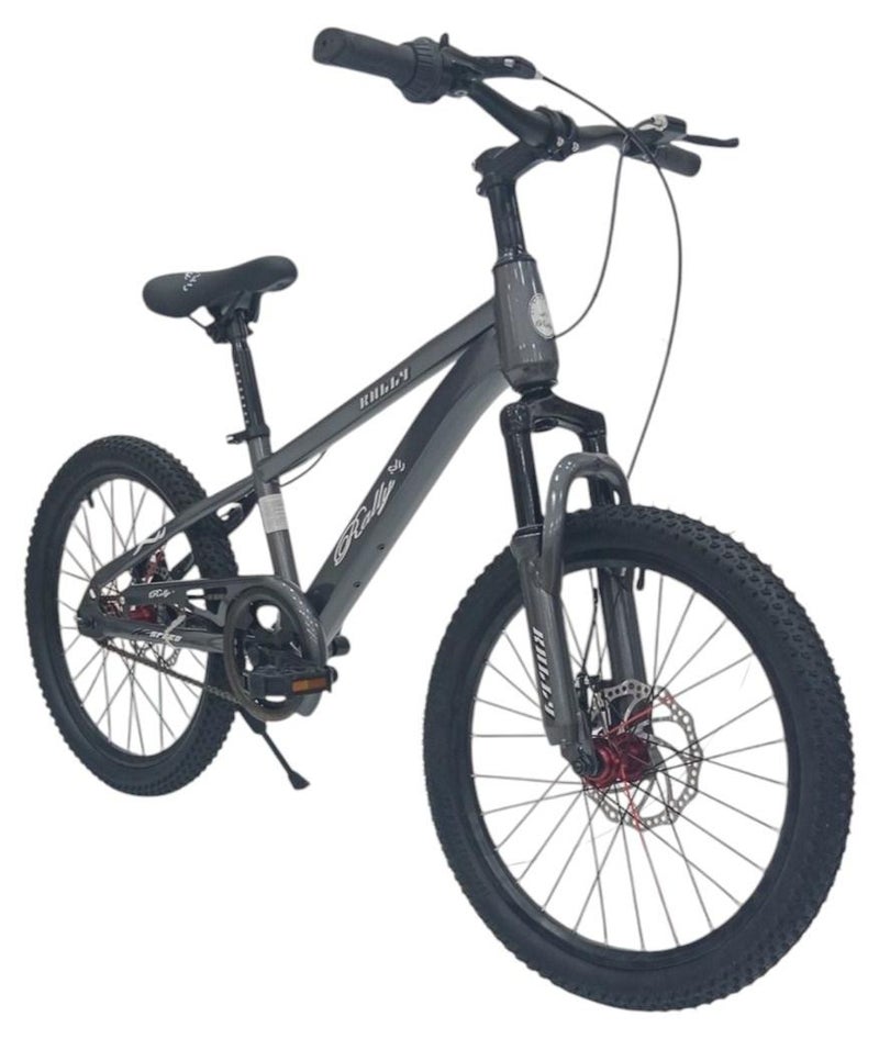 Aluminum Bicycle - Size 20 with Assist and Disc Brakes
