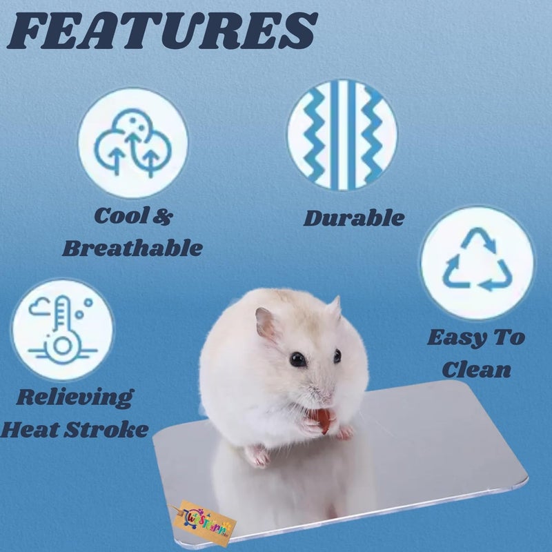 Western Era Hamster Aluminium Cool Mat for Small Pets Like Hamsters, Guinea Pigs, Rabbits | Cooling Pad for Summer Heat Relief | Cool Pad for Small Animals Sleeping & Resting Comfort (6 * 10cm) - Image 4