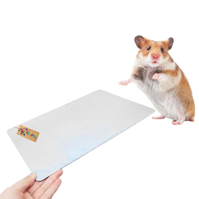 Western Era Hamster Aluminium Cool Mat for Small Pets Like Hamsters, Guinea Pigs, Rabbits | Cooling Pad for Summer Heat Relief | Cool Pad for Small Animals Sleeping & Resting Comfort (6 * 10cm) - Image 1