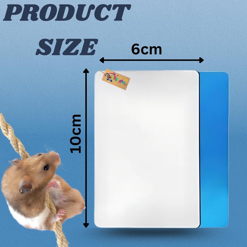 Western Era Hamster Aluminium Cool Mat for Small Pets Like Hamsters, Guinea Pigs, Rabbits | Cooling Pad for Summer Heat Relief | Cool Pad for Small Animals Sleeping & Resting Comfort (6 * 10cm) - Image 3