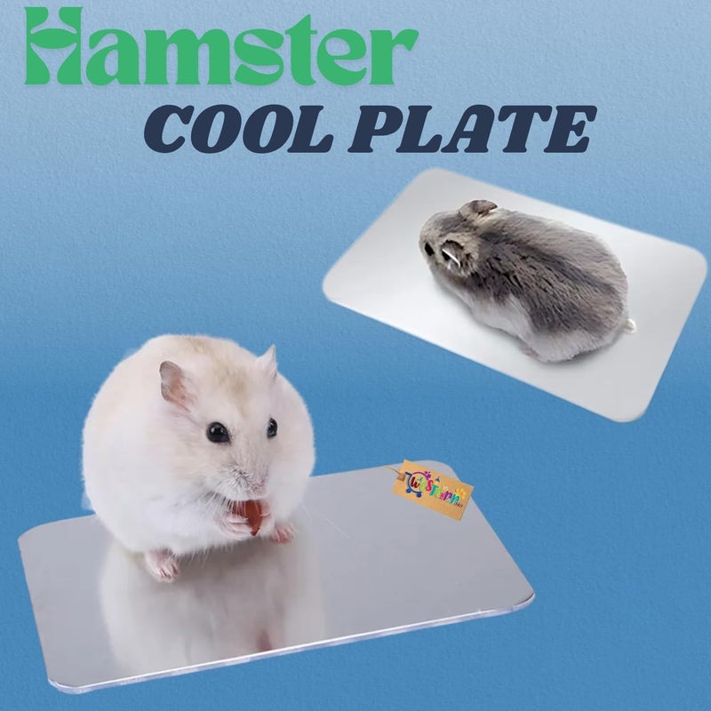 Western Era Hamster Aluminium Cool Mat for Small Pets Like Hamsters, Guinea Pigs, Rabbits | Cooling Pad for Summer Heat Relief | Cool Pad for Small Animals Sleeping & Resting Comfort (6 * 10cm) - Image 2