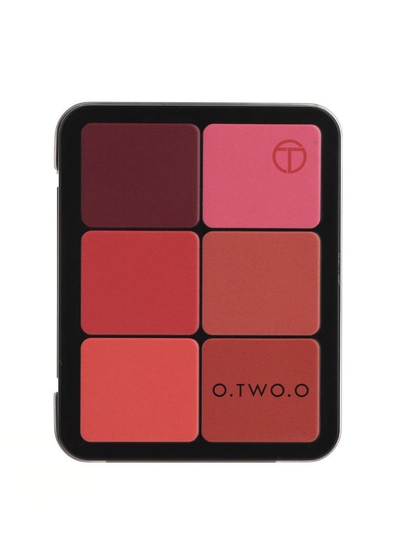O.TWO.O O2O 12 Color Contour Palette with Blush - Image 1
