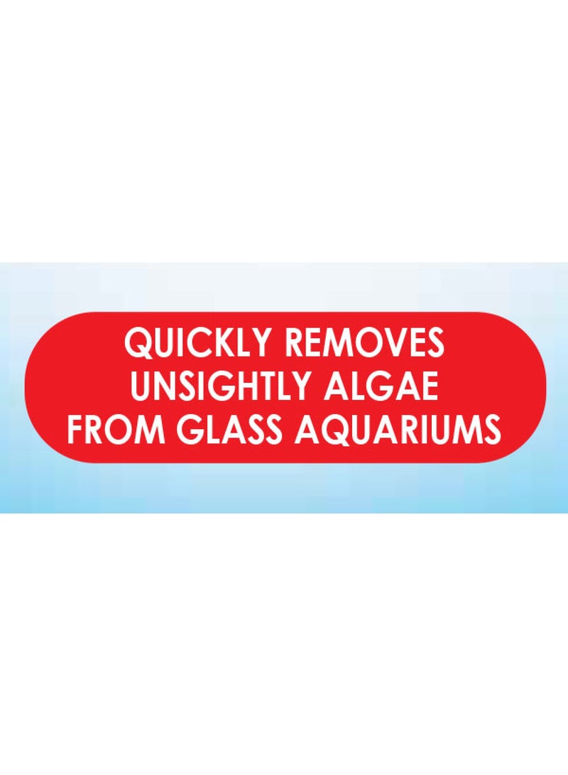 API ALGAE PAD FOR GLASS AQUARIUMS - Image 2