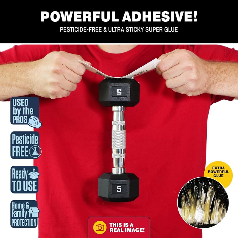 Catchmaster Crawling Pest & Insect Glue Traps 12-Count (3 Packs of 4), Insect Traps Indoor for Home, Pest Control Glue Boards, Adhesive Tray for Bugs, Spiders, Crickets, Roaches, & Ants - Image 2