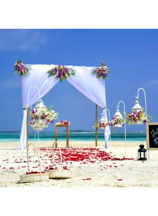 2000 Pcs Artificial Red Rose Petals 2 Bags Fake Flower Petals for Wedding Decoration Romantic Room Decor Proposal Birthday Party Valentine Table Scatter Bath Decor Photography Props - view 3