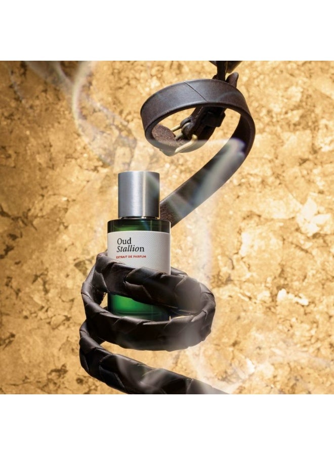 Maison Crivelli Unisex Oud Stallion Extrait de Parfum 100ML - Image 3