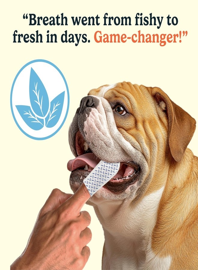 Jasper Dog Dental Wipes, Vet-Recommended All-Natural Finger Toothbrush Wipes for Dogs, Fresh Breath & Tartar Control in Seconds – No Brush and Toothpaste Needed, Coconut, 60 Count - Image 4