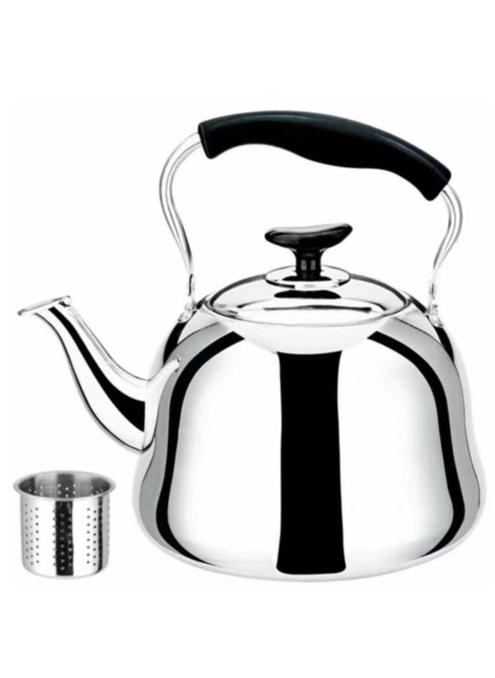 DESSINI DESSINI Kettle Stainless Steel Tea Kettle with Stainer 