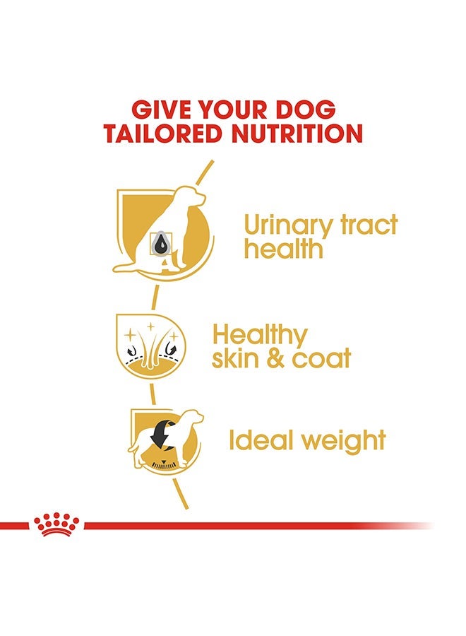 ROYAL CANIN Breed Health Nutrition Bichon Frise Adult Multicolour 1.5kg - Image 4