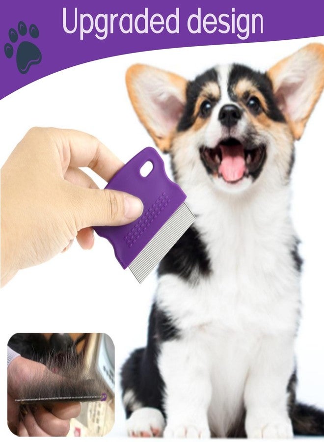 MauSong Professional Eye Comb for Pets，Stainless Steel Tear Stain Remover，For Cats & Dogs,Gentle Round-Head Grooming Tool,Precisely Removes Stains, Dirt And Debris From The Eye Area – 2 Pack - Image 4
