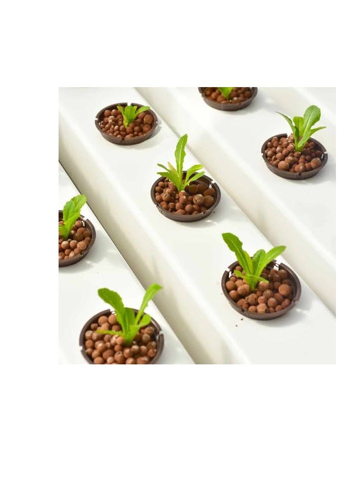 8 lb Organic Expanded Lyca Clay Pebbles for Hydroponics, Orchid Growing, Aquaponics, Drainage, Decor, 100% Natural Lyca Clay Balls for Plants - Image 2