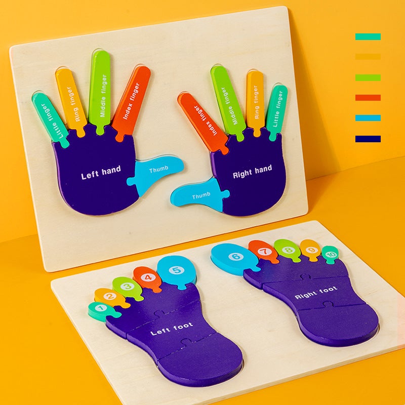 Wooden Hands And Feet Cognitive Puzzle Montessori Teaching Aids Children'S Body Structure English Cognitive Educational Toys - Image 4