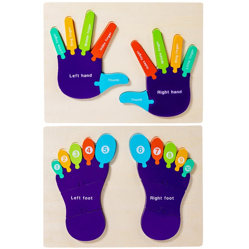 Wooden Hands And Feet Cognitive Puzzle Montessori Teaching Aids Children'S Body Structure English Cognitive Educational Toys - Image 5