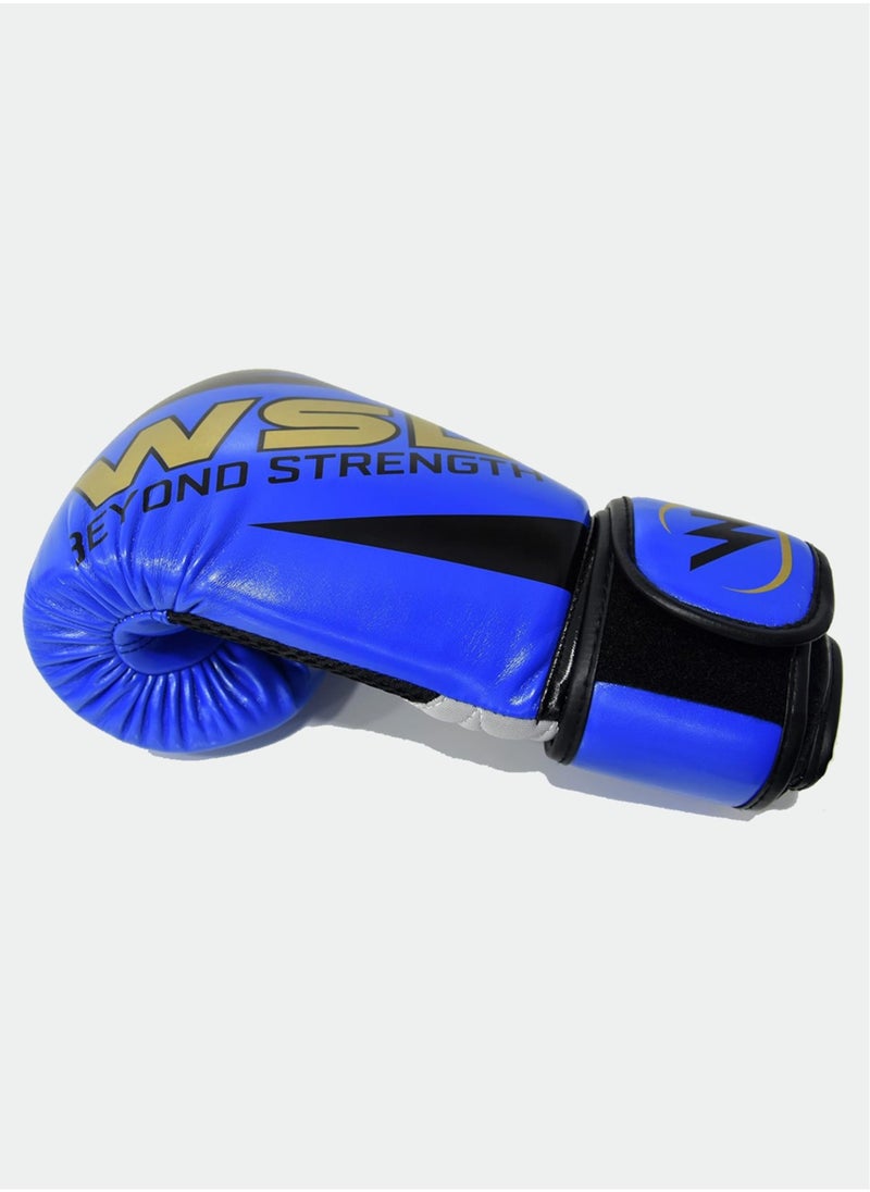 Sky Land Premium Boxing Gloves/Training Gloves For Men And Women/For Fitness Training, Punch In Boxing/Kickboxing/Sparring EM-9340-L  - Image 2
