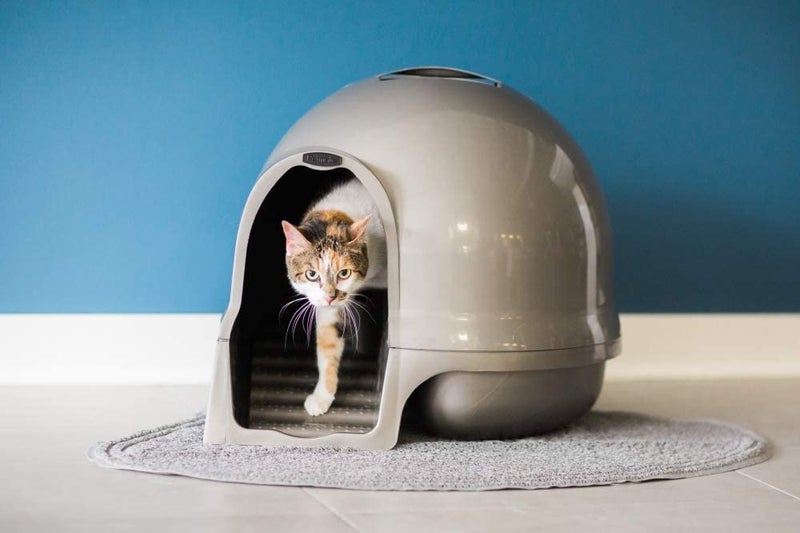 Petmate Booda Clean Step Cat Litter Box Dome (Made in the USA with 95% Recycled Materials)- Brushed Nickel, Made in USA - Image 2