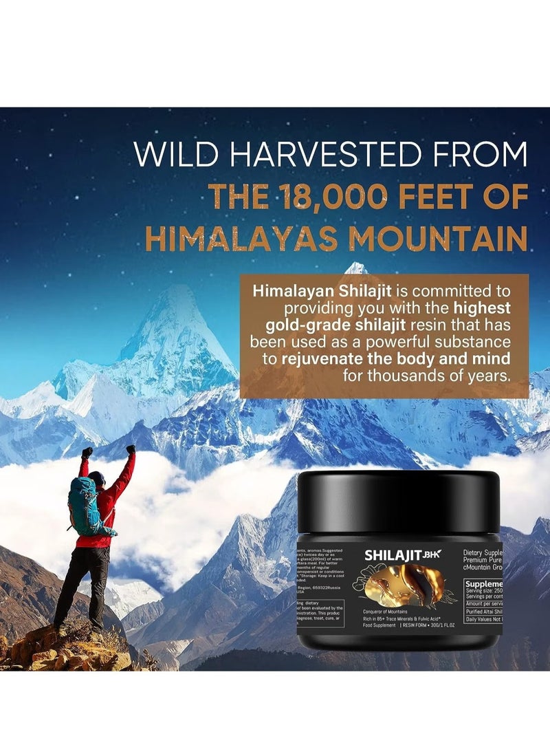 Shilajit RX - Pure Himalayan Shilajit Resin High Potency Gold Grade for Men & Women| 75 Servings for Energy Boost & Immune Support, 85+ Trace Minerals, 75%+ Fulvic Acid - Image 1
