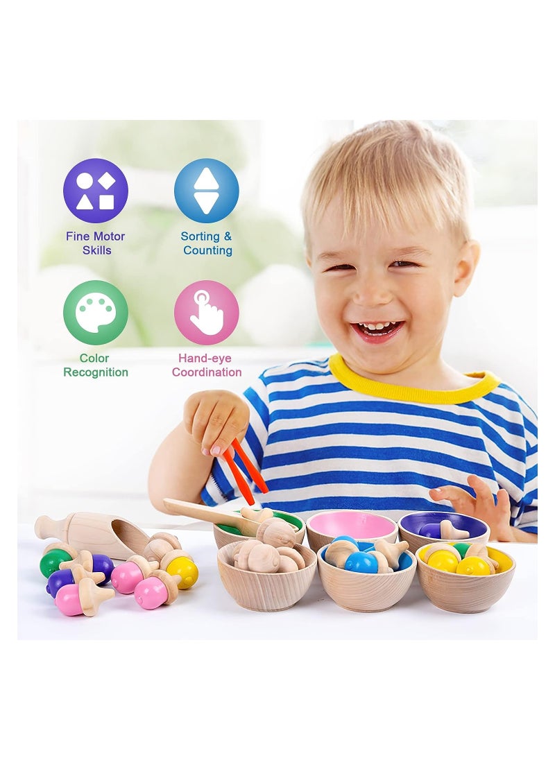 Wooden Color Sorting Toys for Baby, Color Learning Activities Teaching Toy Color Matching Game, Rainbow Counting Acorns with Bowls Tweezer Spoon, Montessori Toy for Kids Boys Girls