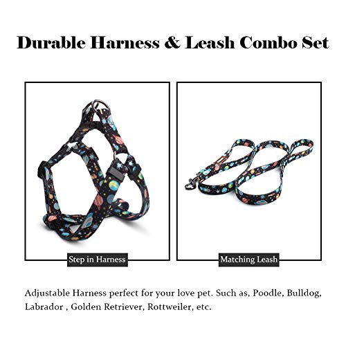 QQPETS Dog Harness Leash Set Adjustable Heavy Duty No Pull Halter Harnesses for Small Medium Large Breed Dogs Back Clip Anti-Twist Perfect for Walking (L(23"-32" Chest Girth), Space) - Image 4